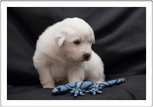 Capture One Session0314